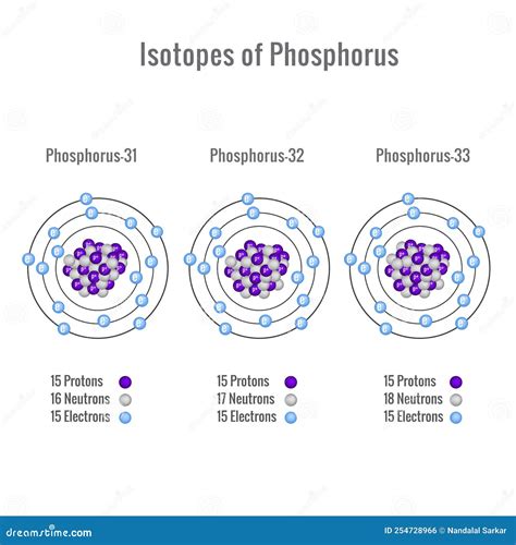 Isotopes Of Phosphorus Atom 3D Vector Illustration | CartoonDealer.com ...