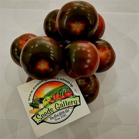 Kumato Tomato 1000 Seeds - Price: €85.00