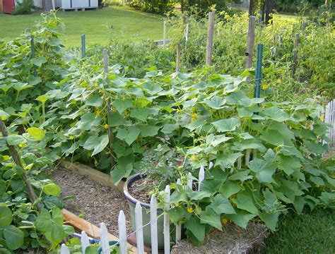 2013 Spring Vegetable Garden. http://asoutherngarden.wordpress.com ...