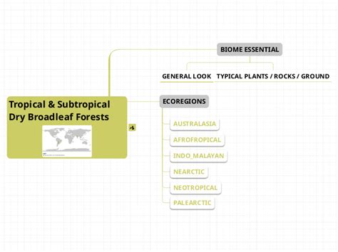 Tropical & Subtropical Dry Broadleaf F...- Mind Map