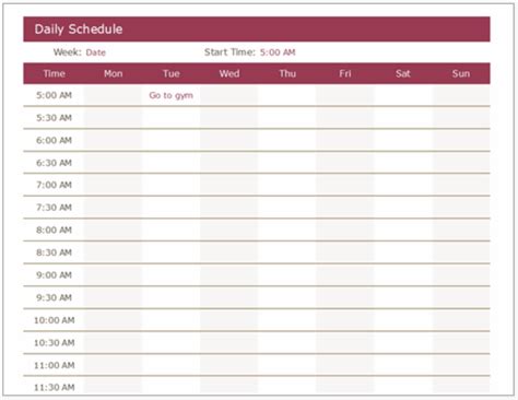 Daily Schedule Excel Template