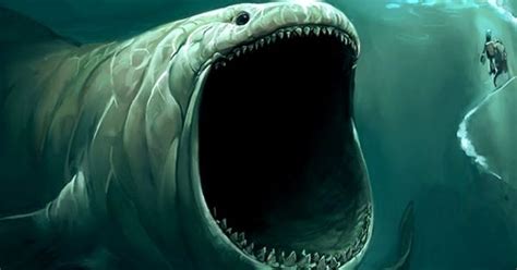 Any fan of deep sea creatures has heard of the Bloop, it turns out they've found the truth ...