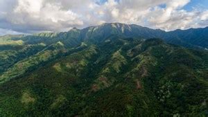 Kaʻala - Mountain Field Guide