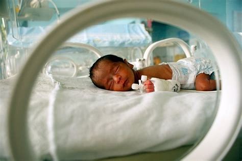 Los bebés prematuros también tienen anticuerpos protectores