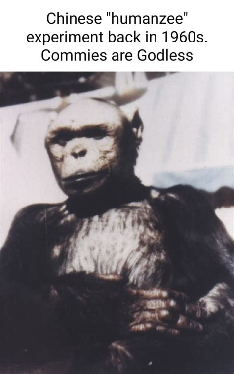 Chinese "humanzee" experiment back in 1960s. Commies are Godless - iFunny