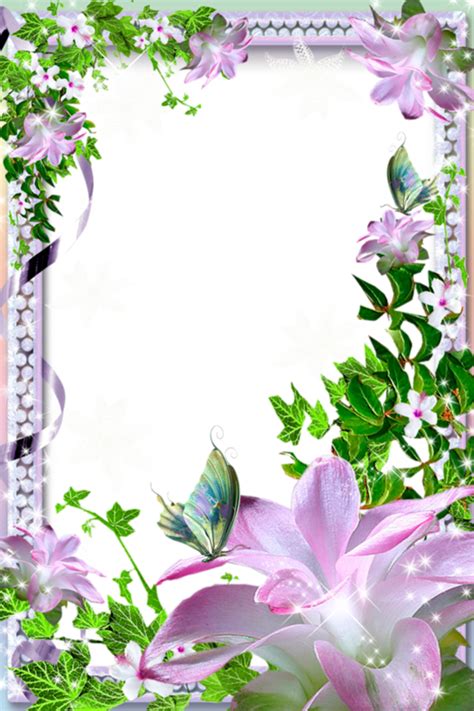 beautiful frame png 20 free Cliparts | Download images on Clipground 2024