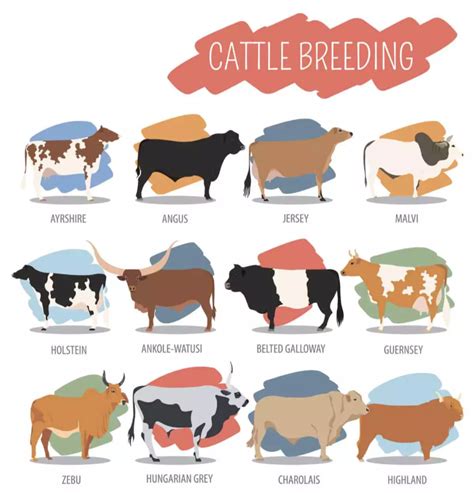 Did you know that there are... - Five Rivers Cattle Feeding