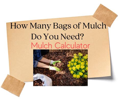 How Many Bags of Mulch Do You Need? (Calculator) - Suburbs 101