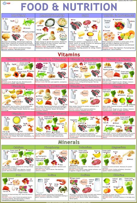 Food & Nutrition Chart Paper Print - Educational posters in India - Buy art, film, design, movie ...