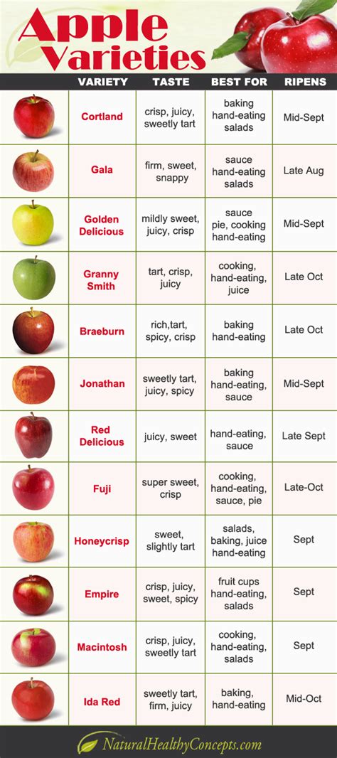 Chart Of Apple Varieties