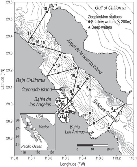 Map of the study area (Ballenas Channel and Bahía de los Ángeles) in ...