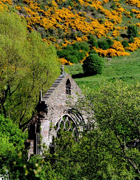 Holyrood Abbey - Edinburgh Collected