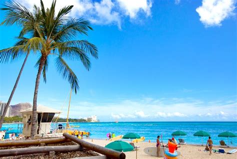 Duke's Waikiki Review and Photo Tour | Dukes waikiki, Waikiki, Photo tour