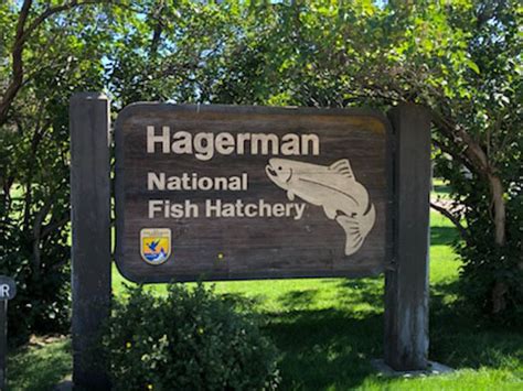 Hagerman National Fish Hatchery | Idaho Fish and Game