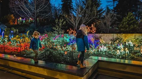 Gorgeous Garden d’Lights Returns to Bellevue Botanical Garden for 2022 ...