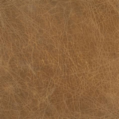 Leather Swatch (Brown) | Regina Andrew Detroit