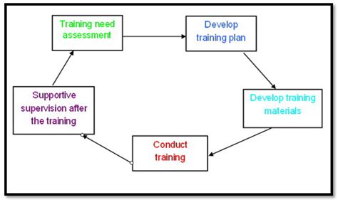 Systems View of Training - Stages in a Training Program