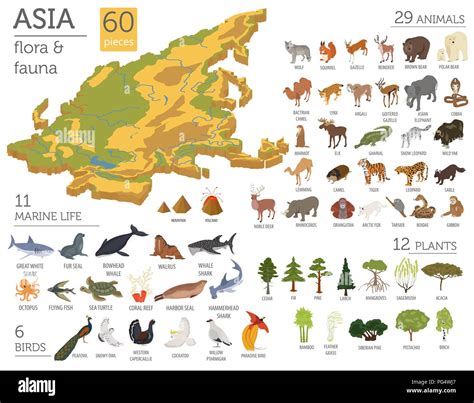 Isometric 3d Asian flora and fauna map constructor elements. Animals ...