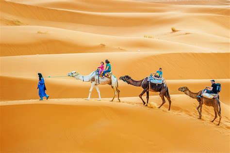 18 Ultimate Things to Do in Morocco – Fodors Travel Guide