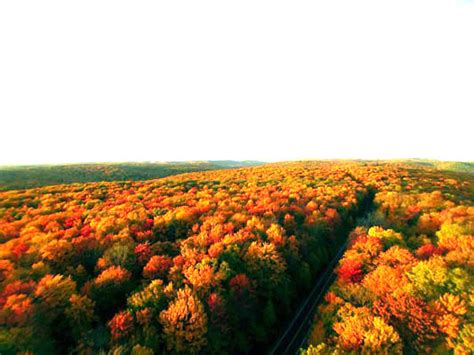 When and Where to View the Best Fall Foliage in PA | #PAGetaway