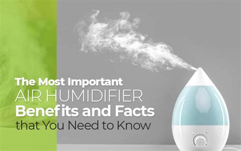 Most Important Air Humidifier Benefits and Facts that You Need to Know – BestLab