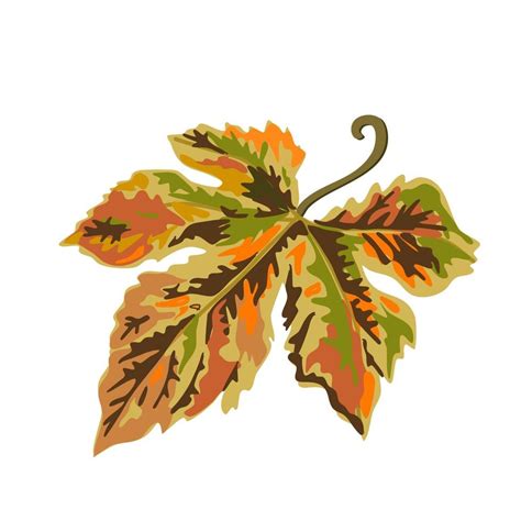 Maple leaf in fall and autumn season isolated colourful hand painted ...