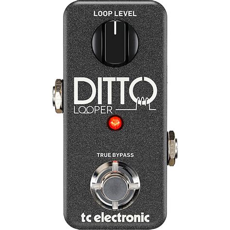 TC Electronic Ditto Looper Guitar Effects Pedal | Musician's Friend