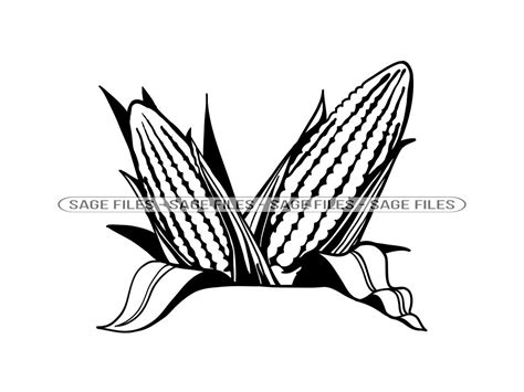 Corn 2 SVG Corn SVG Maize Svg Farming Svg Corn Clipart - Etsy