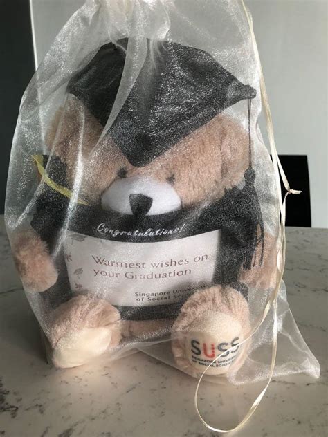 Suss graduation bear, Hobbies & Toys, Toys & Games on Carousell