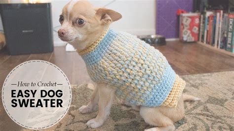 Easy Crochet Dog Sweater Part 1 of 2 | Last Minute Laura | Crochet dog clothes, Crochet dog, Dog ...