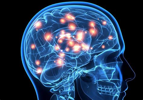 Cannabinoid Receptors, What They are and how they Work – Enecta