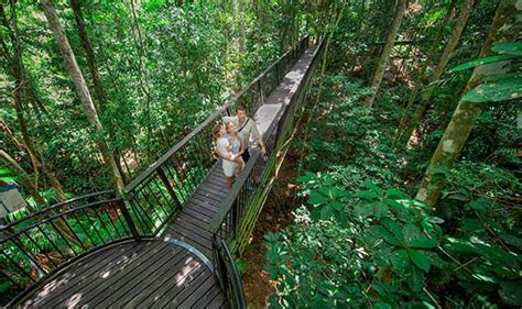 Things To Do in Kuranda - Village in the Rainforest