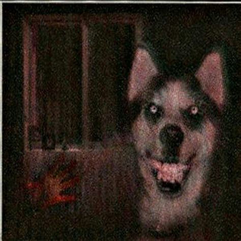 SMILE DOG | Terror Amino