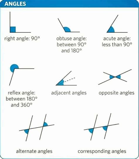 English Vocabulary: Lines and Angles | Studying math, Math methods ...