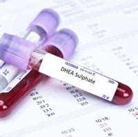 DHEA Sulphate Blood Test | Blood Tests in London