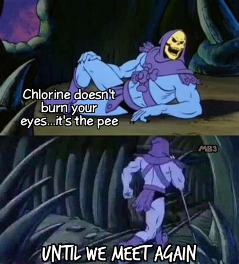 The best Skeletor memes :) Memedroid