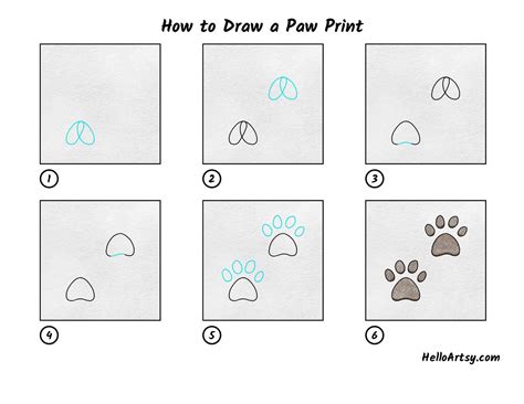 How to Draw a Paw Print - HelloArtsy