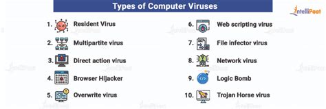 Types Of Computer Viruses Names