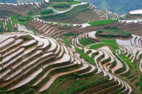 Miss LoVer TraVel: LONGSHENG RICE TERRACES, CHINA