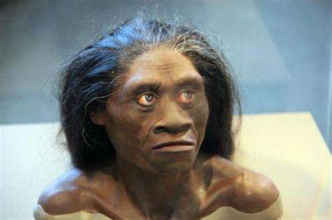 Ten years on, scientists still debating the origins of Homo floresiensis—the 'Hobbit'