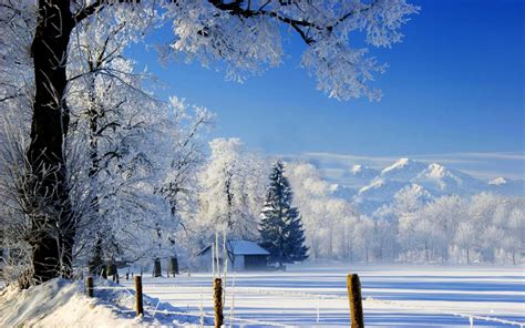 🔥 Download Image Gallery Snow Scenery by @stephaniem19 | Snow Scenery Wallpapers, Snow Scenery ...