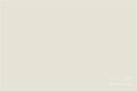 Neutral Light Tan Single Solid Color - One Hue Pairs Sherwin Williams Shoji White SW 7042 ...