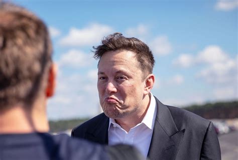 Elon Musk ignites Twitter with controversial meme mocking Ukraine ...