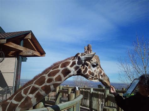 Cheyenne Mountain Zoo Reviews | U.S. News Travel