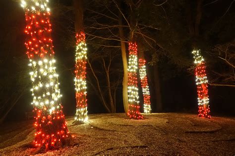 Gardens Aglow: A Dazzling Display at Heritage Museums & Gardens ...