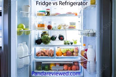 FRIDGE VS REFRIGERATOR - Panda Reviews