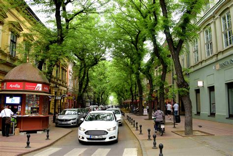 Subotica, Serbia: When Trees Take Over A City