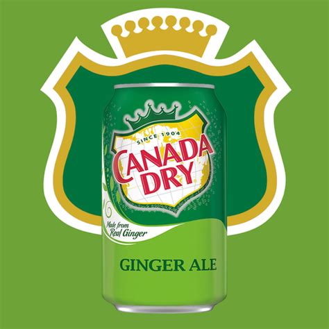 10 Best Ginger Ale Brands - Canada Dry Is Still the Top Ginger Soda