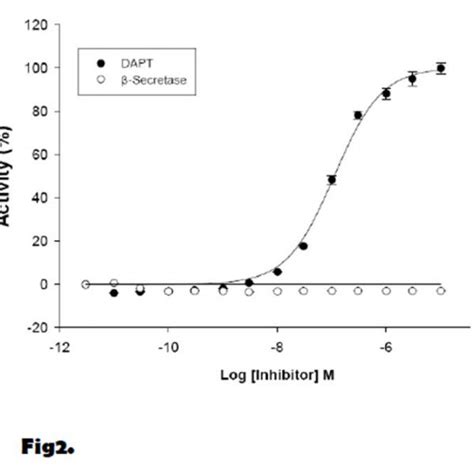 AD Model: Gamma-Secretase Activity Assay Cell Line – AS ONE INTERNATIONAL