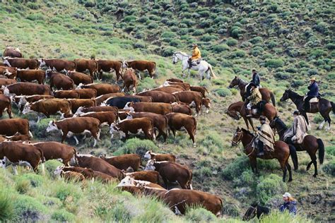 Argentina - Agriculture, forestry, and fishing | Britannica